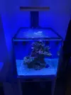 [TodoMarino.com] ACUARIO CUBICO DE 50X50X50 SIROCCO - Barcelona (Roda de ter)