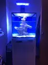 [TodoMarino.com] ACUARIO CUBICO DE 50X50X50 SIROCCO - Barcelona (Roda de ter)