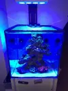 [TodoMarino.com] ACUARIO CUBICO DE 50X50X50 SIROCCO - Barcelona (Roda de ter)