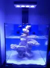[TodoMarino.com] ACUARIO CUBICO DE 50X50X50 SIROCCO - Barcelona (Roda de ter)