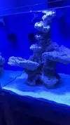 [TodoMarino.com] ACUARIO CUBICO DE 50X50X50 SIROCCO - Barcelona (Roda de ter)