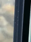 [TodoMarino.com] Copepodos????