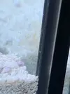 [TodoMarino.com] Copepodos????