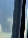 [TodoMarino.com] Copepodos????