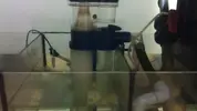 [TodoMarino.com] Vendo acuario 250lts. completo - Quintanar de la Orden-45800-Toledo