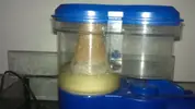 [TodoMarino.com] Vendo acuario 250lts. completo - Quintanar de la Orden-45800-Toledo