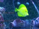 [TodoMarino.com] Vendo acuario 250lts. completo - Quintanar de la Orden-45800-Toledo