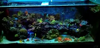 [TodoMarino.com] Vendo acuario - Dos hermanas sevilla