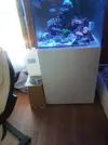 [TodoMarino.com] Busco acuario de 200 a 300 litros