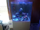[TodoMarino.com] Busco acuario de 200 a 300 litros