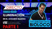 [TodoMarino.com] DIRECTO | Iluminación en el Acuario Marino
