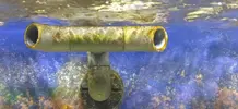 [TodoMarino.com] Coctelera de algas