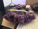 [TodoMarino.com] Roca pukani y roca artificial muerta - Terrassa, Vallès.