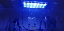[TodoMarino.com] Vendo picoreef de 15 litros - Sevilla
