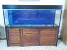 [TodoMarino.com] Vendo acuario marino - Rota Cádiz