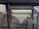 [TodoMarino.com] Vendo acuario marino - Rota Cádiz