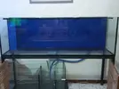 [TodoMarino.com] Vendo acuario marino - Rota Cádiz