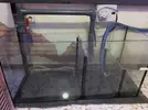 [TodoMarino.com] Vendo acuario marino - Rota Cádiz