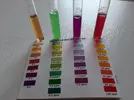 [TodoMarino.com] cual test es mejor