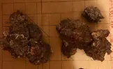 [TodoMarino.com] El Reef de Little
