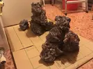 [TodoMarino.com] El Reef de Little