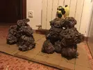 [TodoMarino.com] El Reef de Little