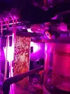 [TodoMarino.com] Acuaponia en acuarios marinos