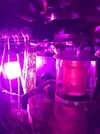 [TodoMarino.com] Acuaponia en acuarios marinos