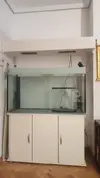 [TodoMarino.com] Vendo acuario de 300 litros en Madrid - Madrid