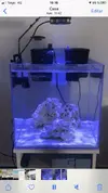 [TodoMarino.com] Lumini Pixie 30