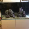 [TodoMarino.com] El Reef de Little