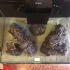 [TodoMarino.com] El Reef de Little