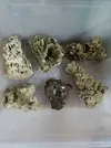 [TodoMarino.com] Roca viva, 6€ kilo - Sabadell