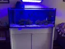 [TodoMarino.com] Vendo acuario - Gijón