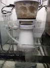 [TodoMarino.com] Skimmer nyos quantum 220 - Bilbao