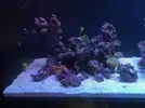 [TodoMarino.com] Darwin Reef
