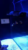 [TodoMarino.com] Darwin Reef