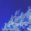 [TodoMarino.com] Darwin Reef