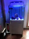 [TodoMarino.com] Acuario - OPORTUNIDAD  - Mueble - Altafulla (Tarragona)