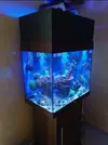 [TodoMarino.com] Acuario 120 ls+sump 29ls+ mueble, fontanería y extras. - Madrid