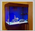 [TodoMarino.com] Acuario 120 ls+sump 29ls+ mueble, fontanería y extras. - Madrid