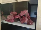 [TodoMarino.com] RedSea Reef 250 + Sump