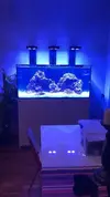 [TodoMarino.com] Vendo roca Real Reef (25 kg aprox) - Cornella De Llobregat
