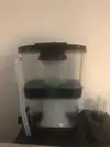 [TodoMarino.com] SKIMMER NUEVO ......RESIDUOS AZULES!!!!!!!AYUDA......