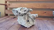 [TodoMarino.com] 18 kg de Roca inerte, muy chula - Sanlucar de Barrameda