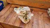 [TodoMarino.com] 18 kg de Roca inerte, muy chula - Sanlucar de Barrameda