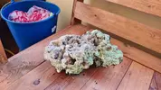 [TodoMarino.com] 18 kg de Roca inerte, muy chula - Sanlucar de Barrameda