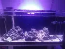 [TodoMarino.com] Vendo roca por desmonte - Barcelona
