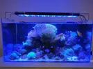 [TodoMarino.com] Pantalla led Dsuny