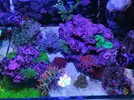 [TodoMarino.com] Vendo nano completo 64l - Girona